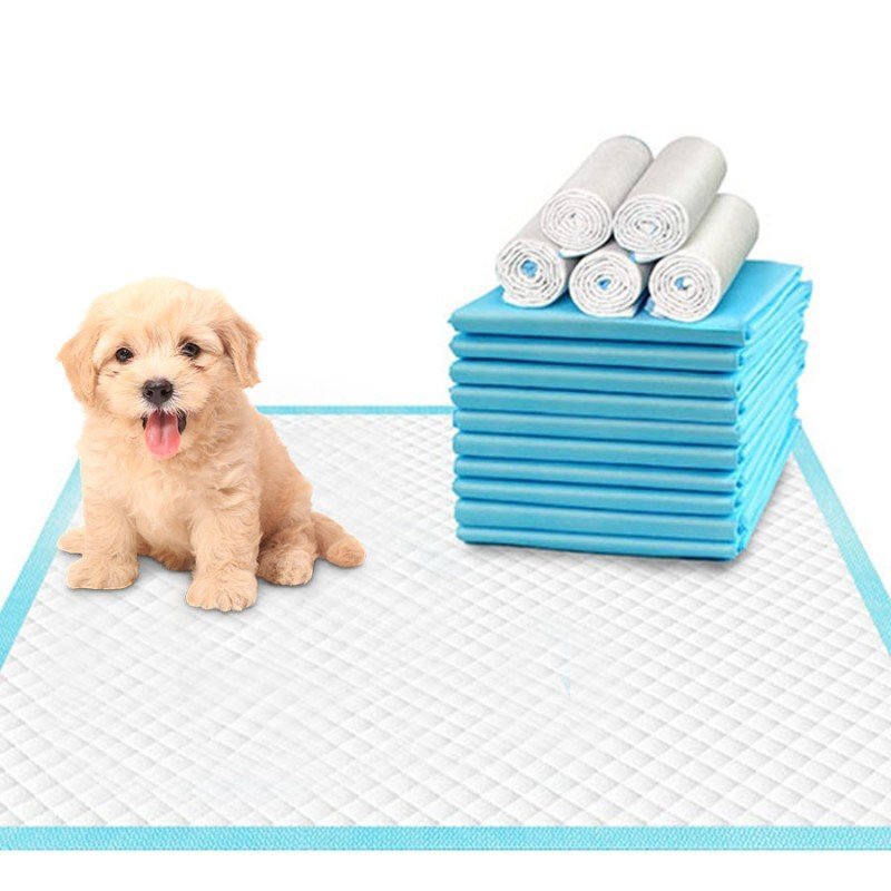 ZARYS Set aleze paturici absorbante de unica folosinta protectii pentru pat 60x60 cm 25 bucati