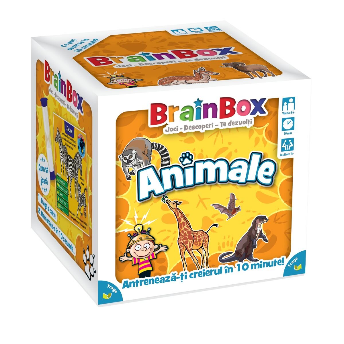 BrainBox Joc educativ Animale