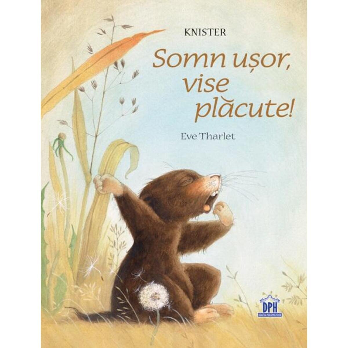 DPH Somn usor vise placute