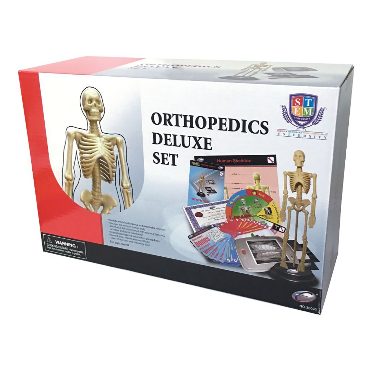 Eastcolight Set de ortopedie Corpul uman
