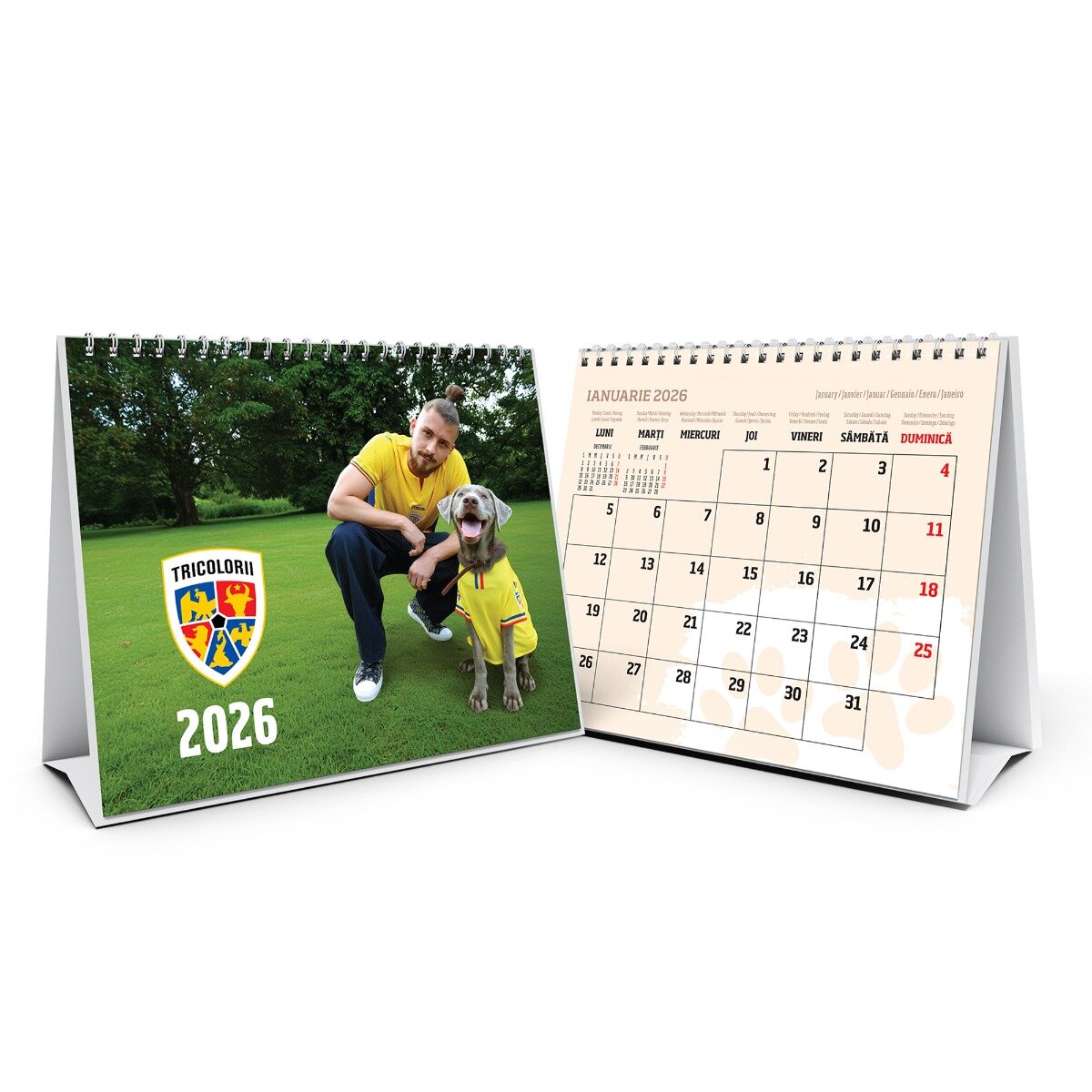 FRF Calendar de birou 2026 Tricolorii