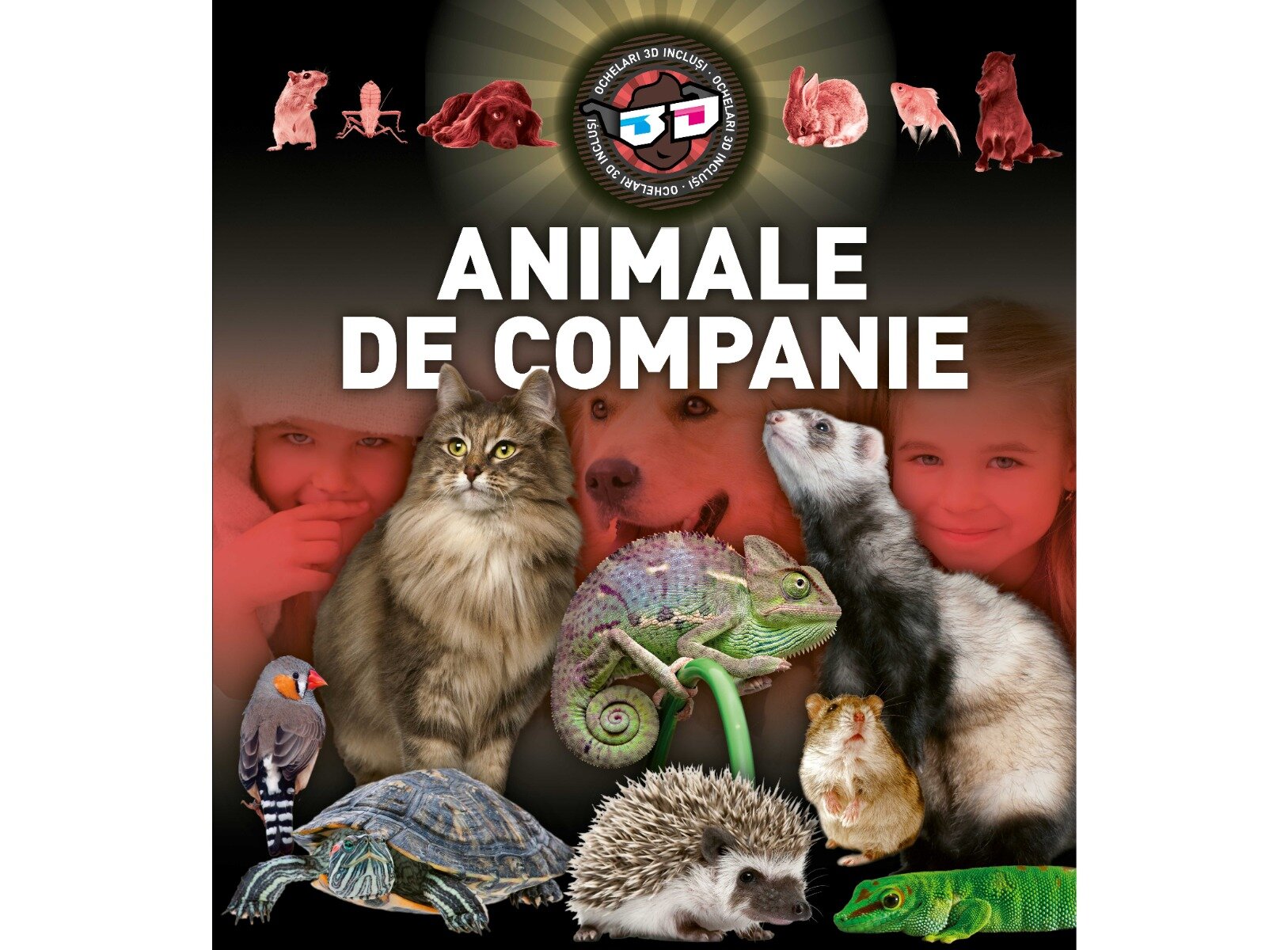 Kreativ Animale de companie 3D