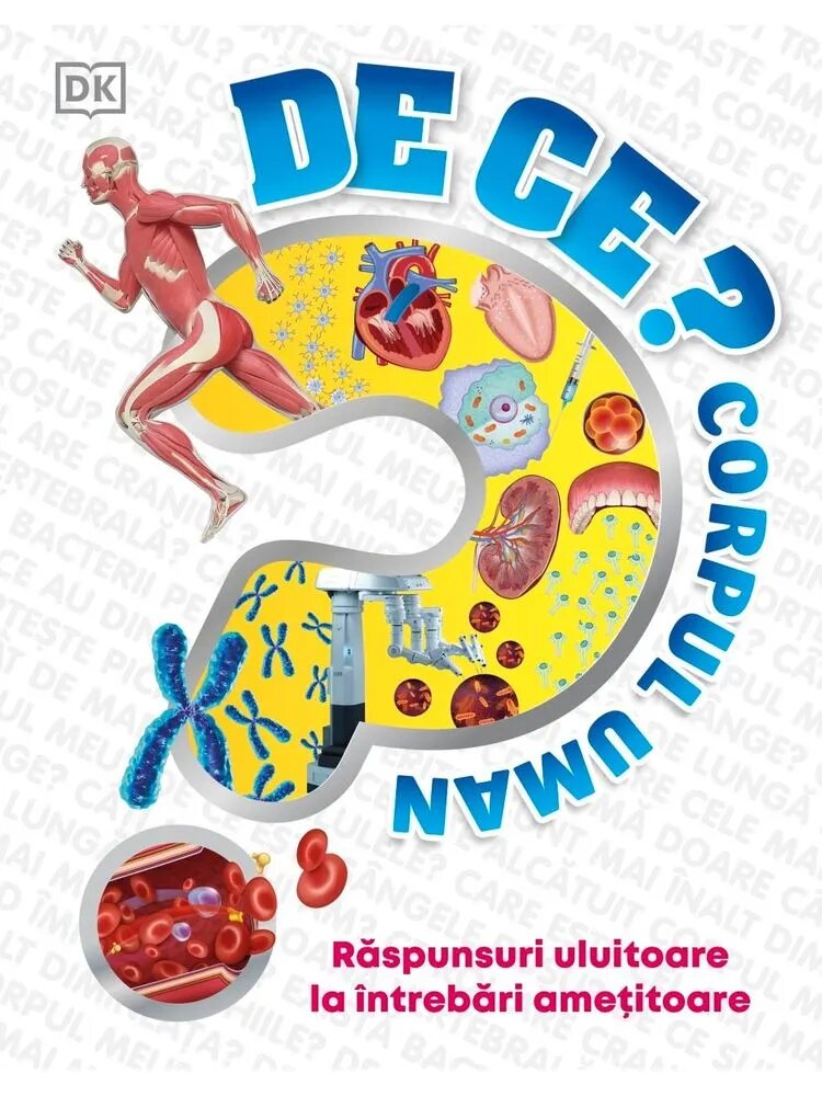 Kreativ De ce? Corpul Uman