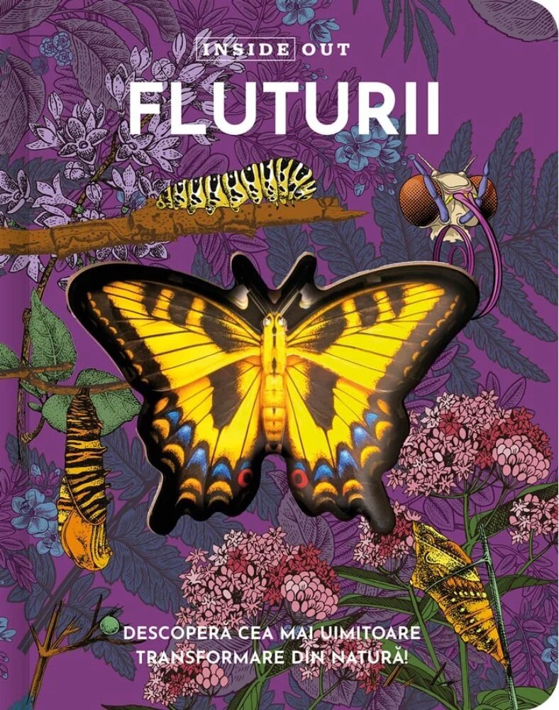 Kreativ Fluturii model 3D