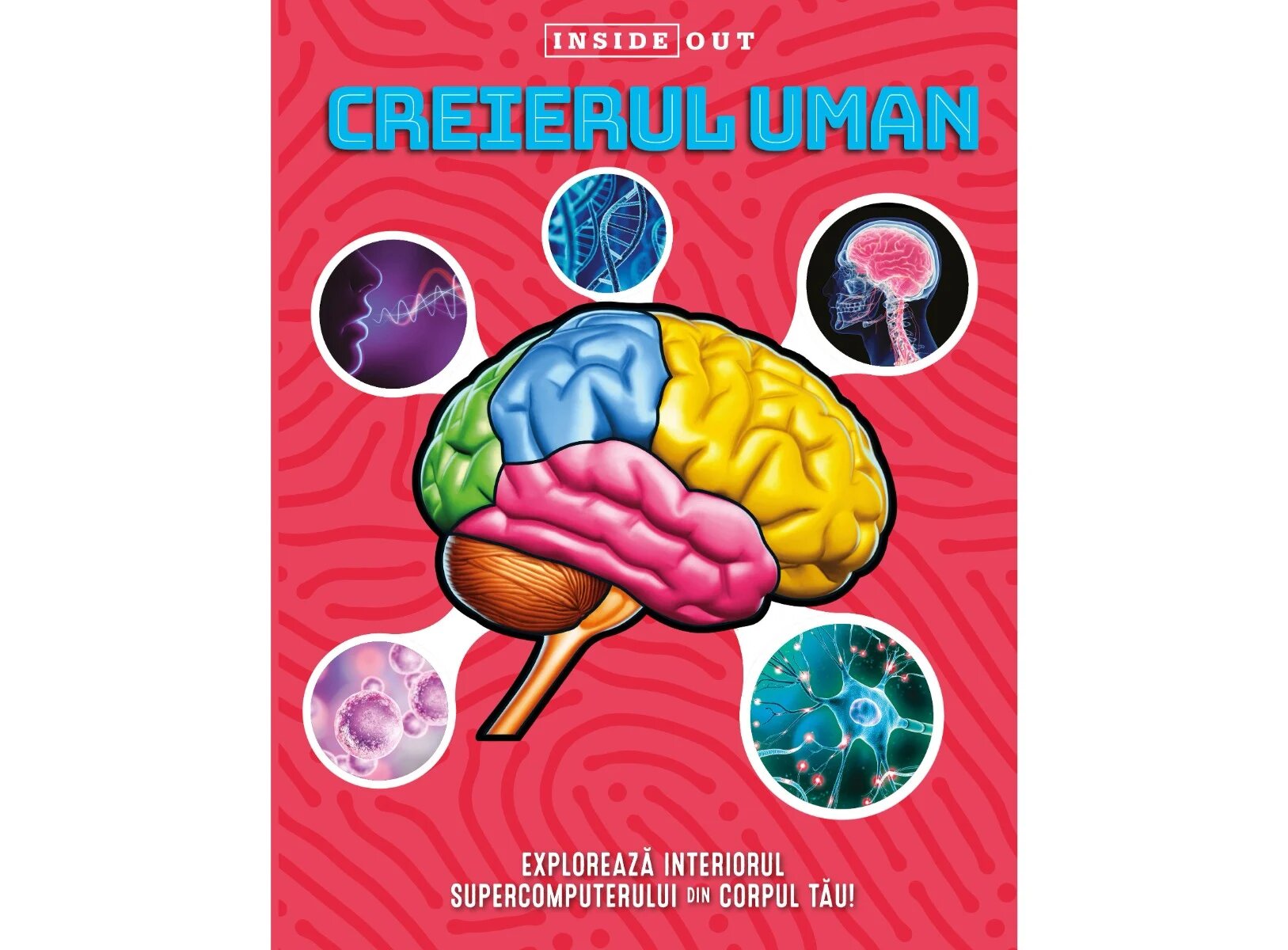 Kreativ Inside out Creierul uman 3D
