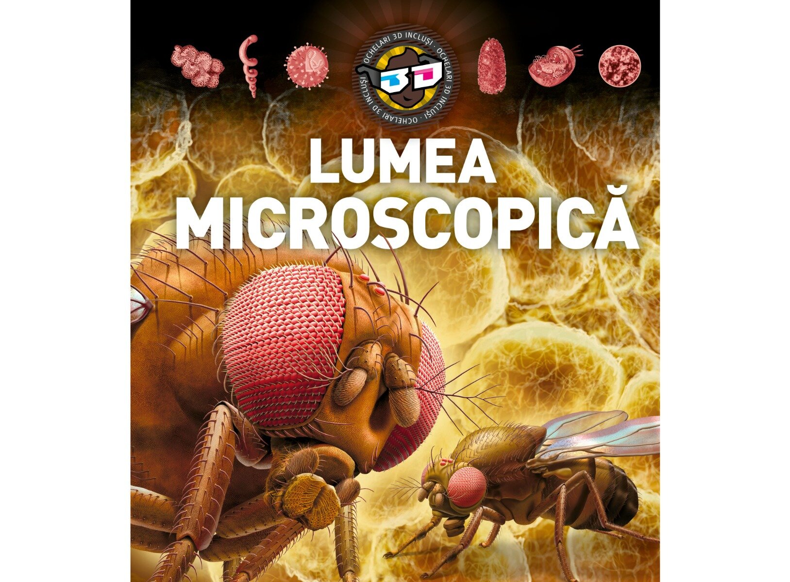 Kreativ Lumea microscopica 3D