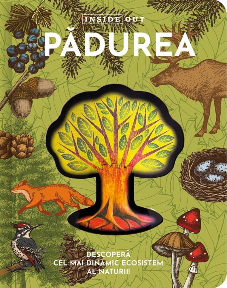 Kreativ Padurea model 3D