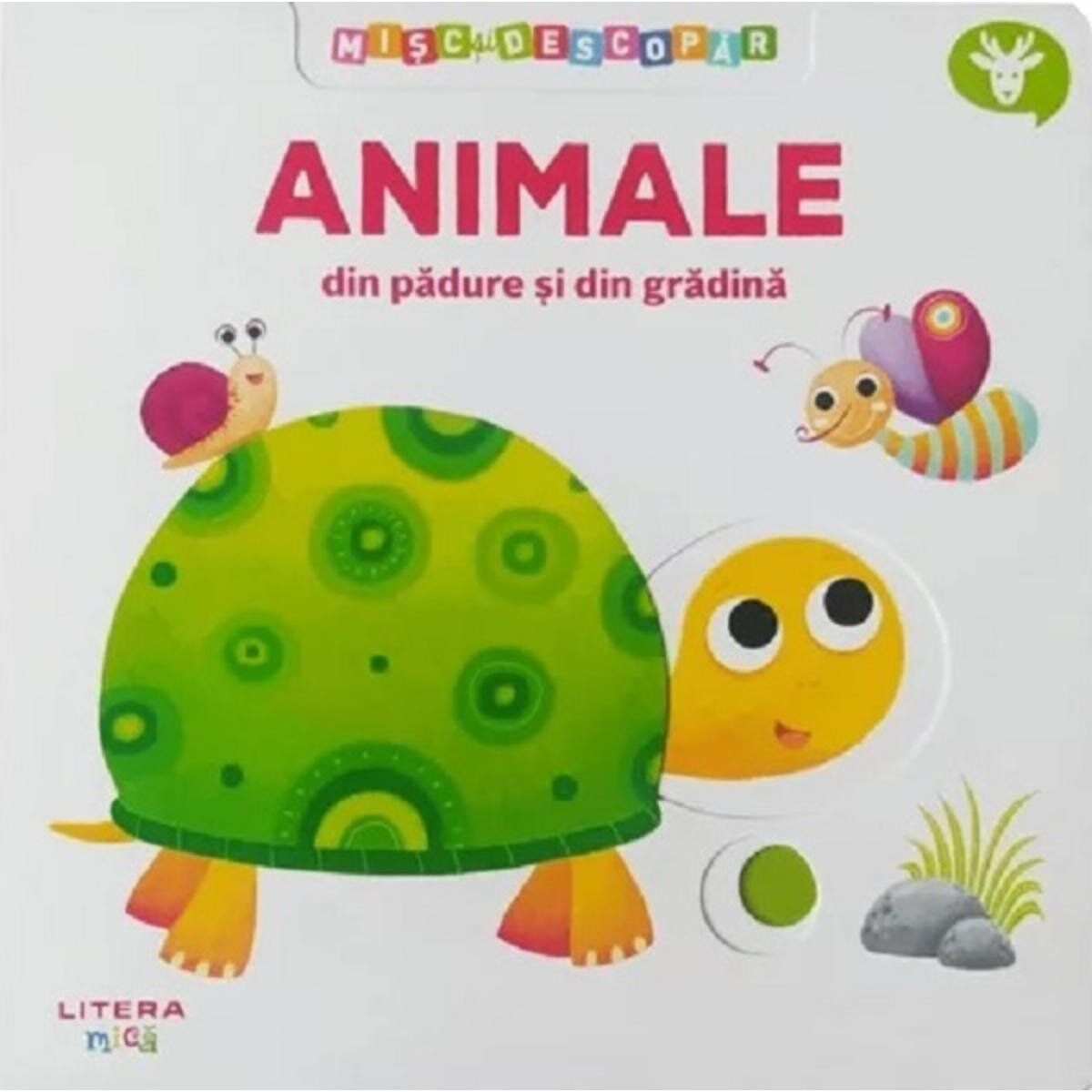 Litera Misc si descopar Animale din padure si din gradina