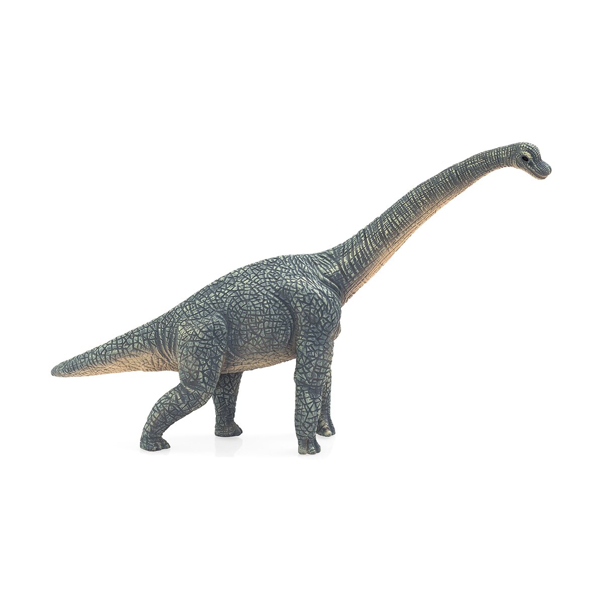 Mojo Figurina dinozaur Brachiosaurus gri