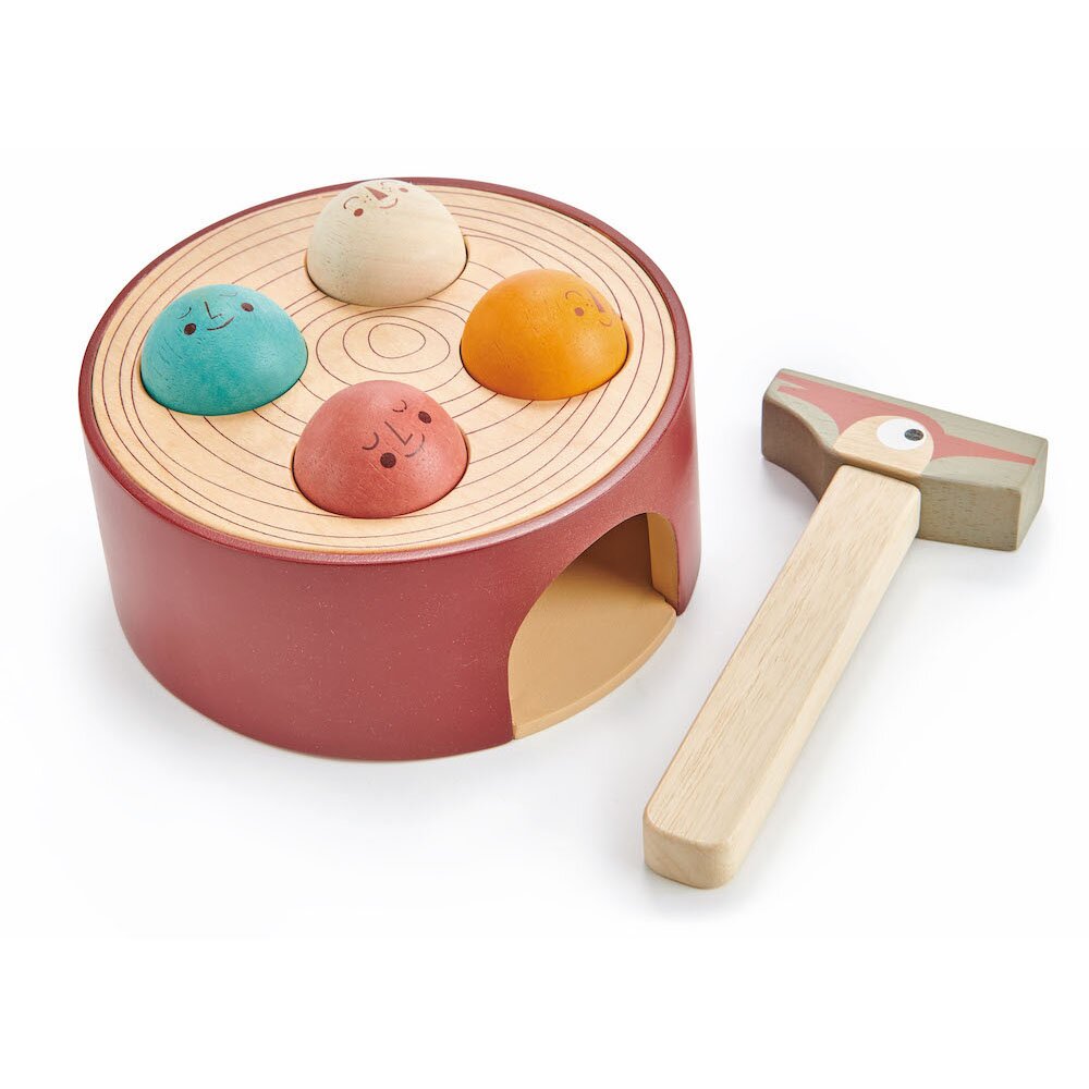 Tender Leaf Toys Jocul ciocanitoarei din lemn 6 piese
